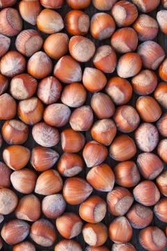 Hazelnuts Stock Photos