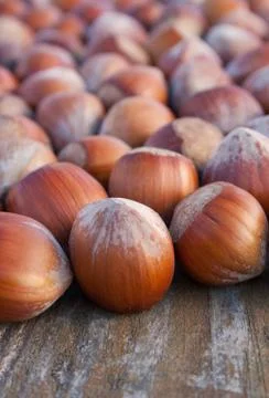 Hazelnuts Stock Photos