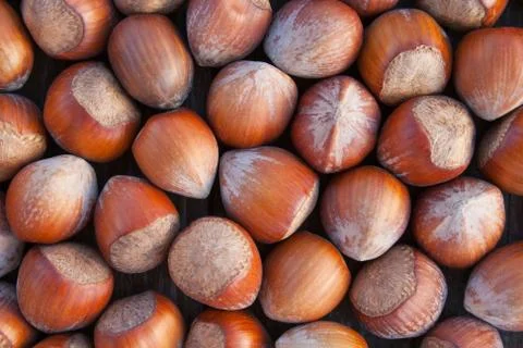 Hazelnuts Stock Photos