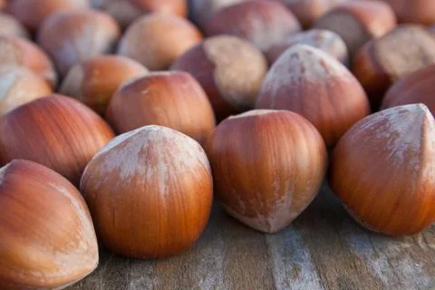 Hazelnuts Stock Photos