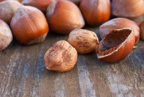 Hazelnuts Stock Photos