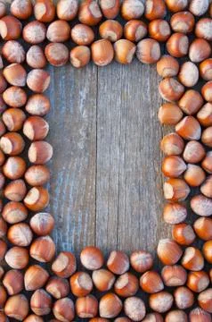 Hazelnuts Stock Photos