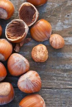Hazelnuts Foto stock