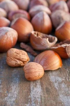 Hazelnuts Stock Photos