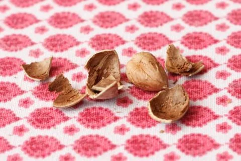 Hazelnuts Stock Photos