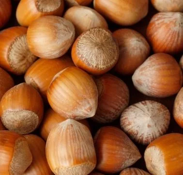 Hazelnuts Stock Photos