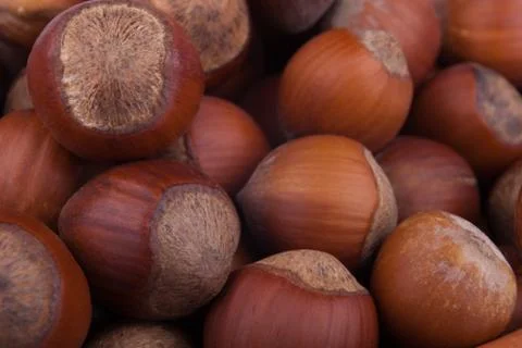 Hazelnuts Stock Photos