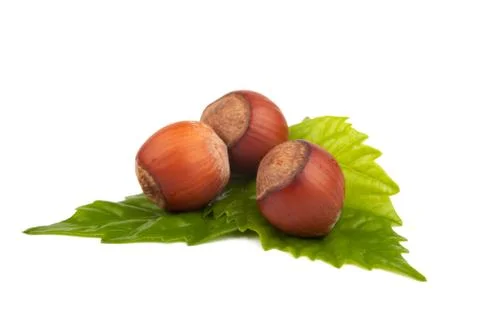 Hazelnuts Stock Photos