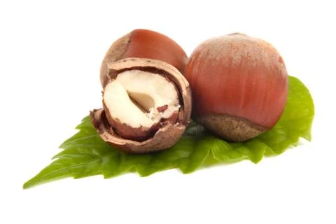 Hazelnuts Stock Photos