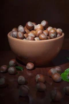 Hazelnuts Stock Photos
