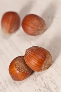 Hazelnuts Stock Photos