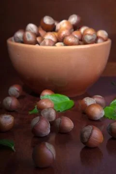 Hazelnuts Stock Photos