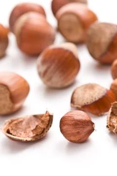 Hazelnuts Stock Photos