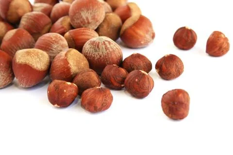 Hazelnuts Stock Photos