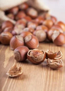 Hazelnuts Stock Photos