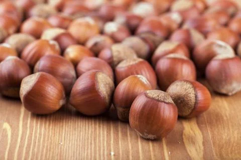 Hazelnuts Stock Photos
