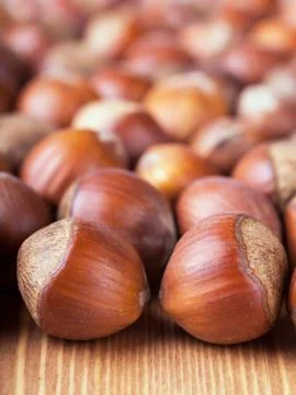 Hazelnuts Stock Photos