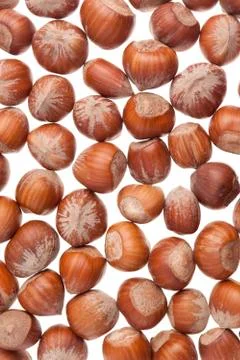 Hazelnuts Stock Photos
