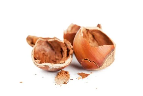 Hazelnuts Stock Photos
