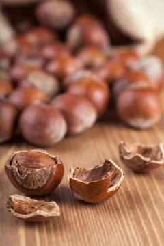 Hazelnuts Stock Photos