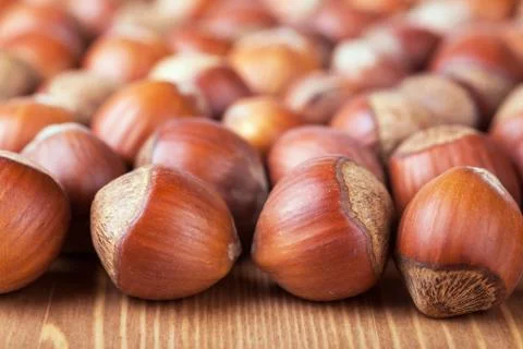 Hazelnuts Stock Photos