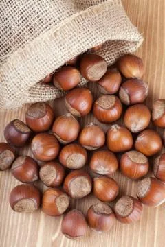 Hazelnuts Stock Photos