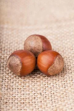 Hazelnuts Stock Photos