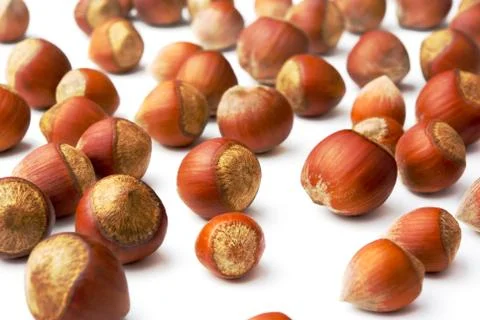 Hazelnuts Stock Photos