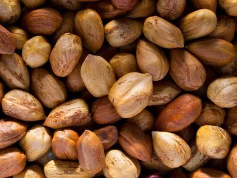 Hazelnuts Stock Photos