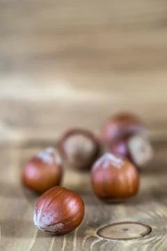 Hazelnuts Stock Photos
