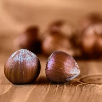 Hazelnuts Stock Photos