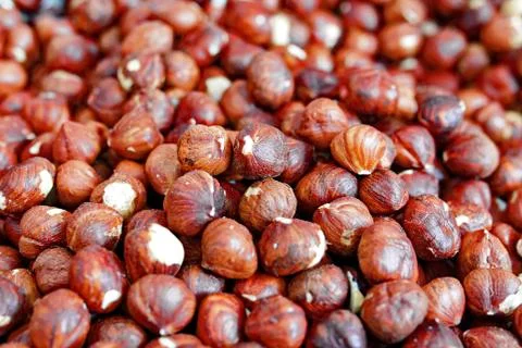 Hazelnuts. Stock Photos