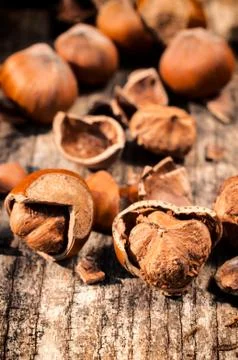 Hazelnuts Stock Photos