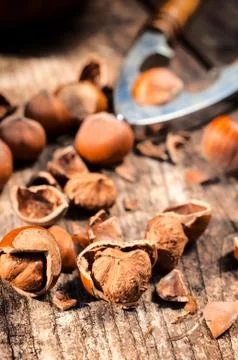 Hazelnuts Stock Photos