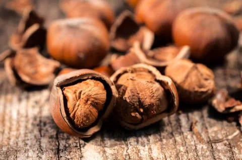 Hazelnuts Stock Photos