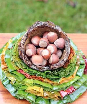 Hazelnuts Stock Photos