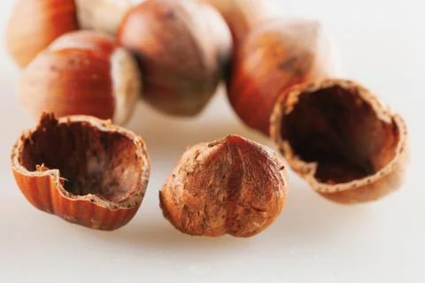 Hazelnuts Stock Photos