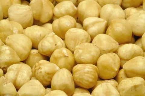 Hazelnuts Foto stock
