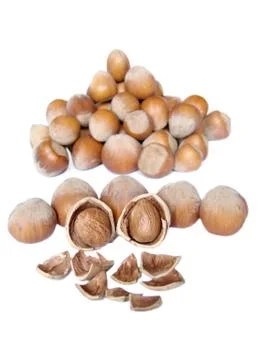 Hazelnuts Foto stock