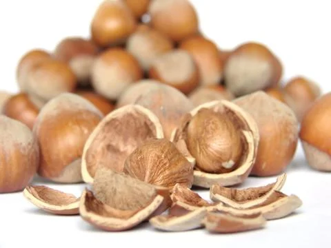 Hazelnuts Foto stock