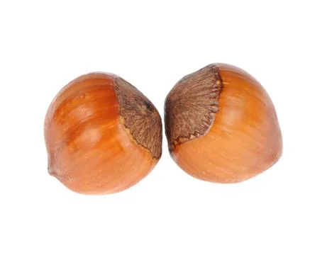 Hazelnuts Stock Photos