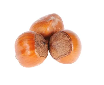 Hazelnuts Stock Photos