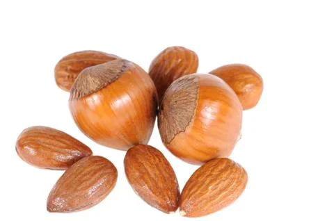 Hazelnuts Stock Photos