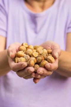 Hazelnuts Foto stock