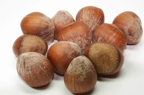 Hazelnuts Foto stock