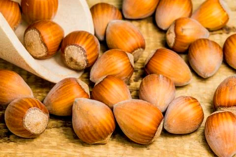 Hazelnuts Stock Photos
