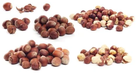 Hazelnuts Stock Photos