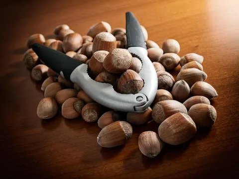 Hazelnuts Stock Photos