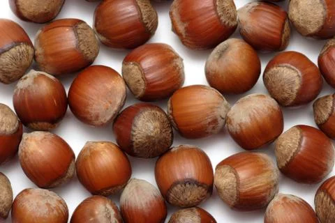 Hazelnuts Stock Photos