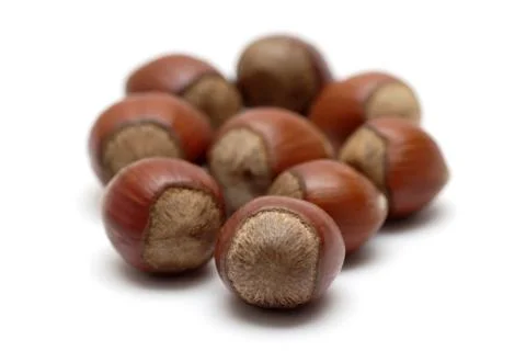 Hazelnuts Stock Photos